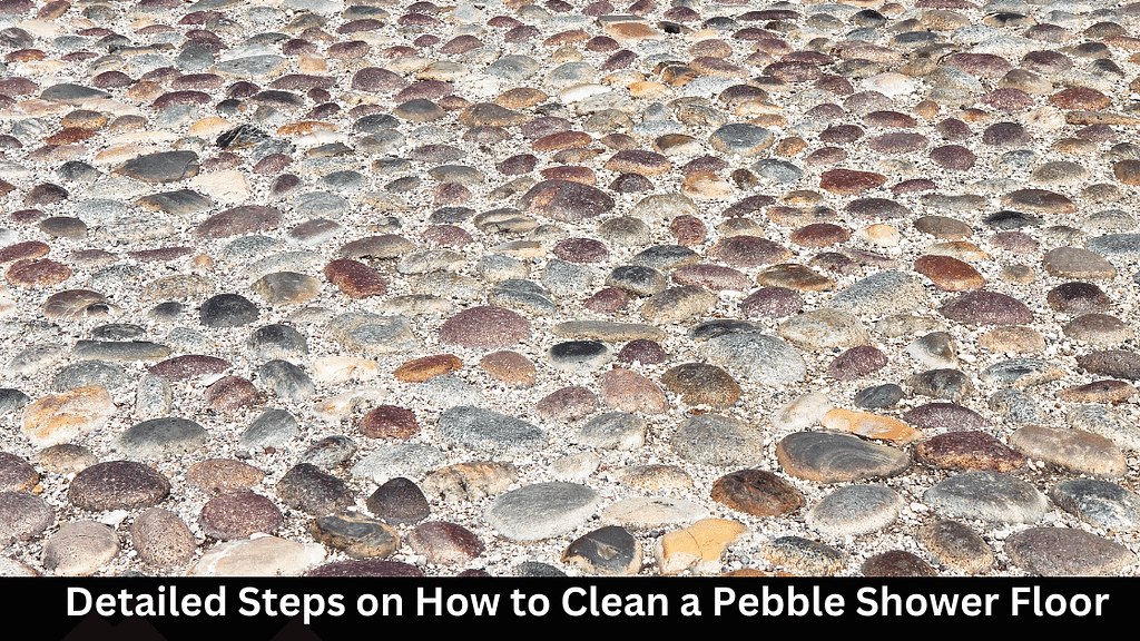 Detailed Steps on How to Clean a Pebble Shower Floor