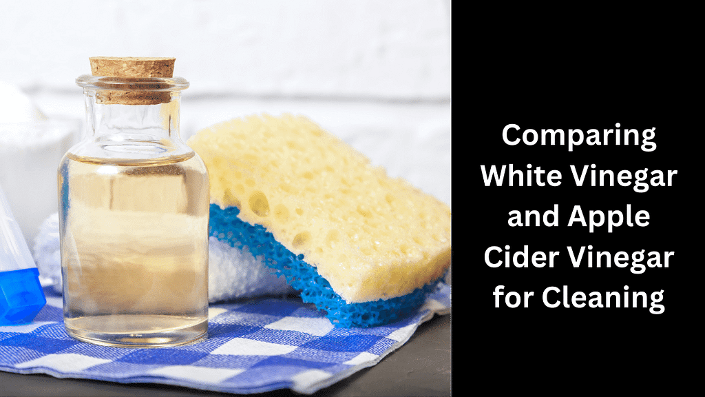 Comparing White Vinegar and Apple Cider Vinegar for Cleaning