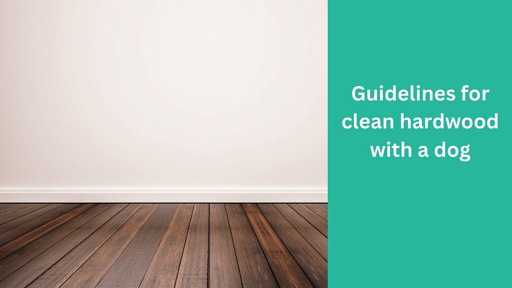 Guidelines for clean hardwood with a dog