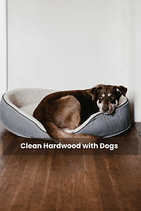 Clean Hardwood with Dogs